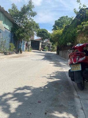 bán dất