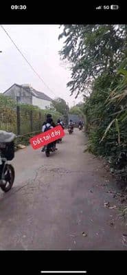 bân dất