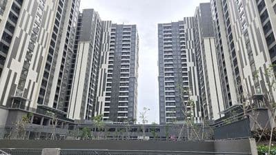 GIỎ HÀNG CHUYỂN NHƯỢNG & CHO THUÊ CĂN HỘ VICTORIA VILLAGE