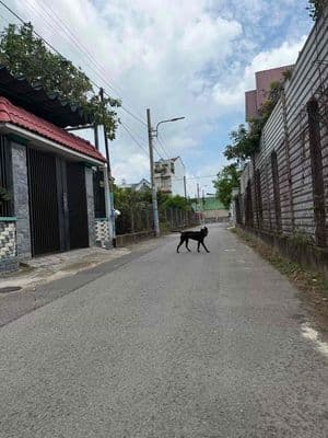BÁN ĐẤT PHÚ HOÀ TDM GẦN TRƯỜNG HỌC