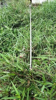 Đất đẹp Long Hoà cho thuê làm kho bãi, nhà xưởng