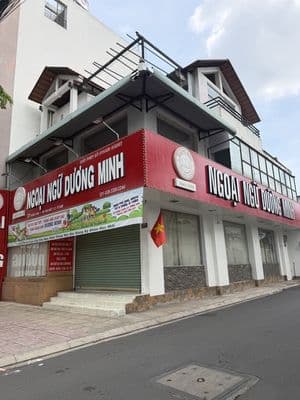cho thuê nhà nguyên căn