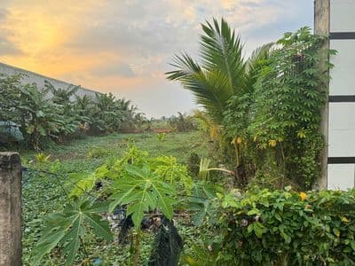 Bán đất ấp Tân Hòa