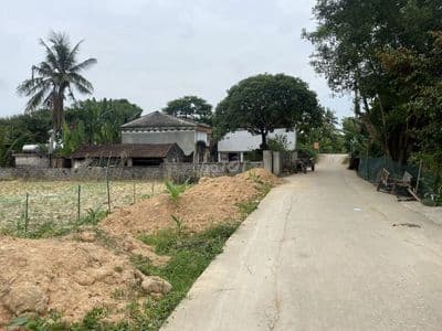 Bán đất nền sẵn sổ 1200m thẳng cánh cò bay Triệu Sơn, Thanh Hóa