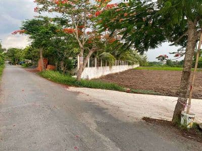 Xã Tân Lân tỉnh Tây Ninh ( xã tân lân huyện Cần Đước tỉnh Long An )
