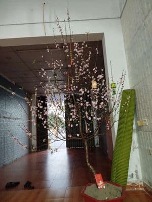 BÁN NHÀ CHÍNH CHỦ