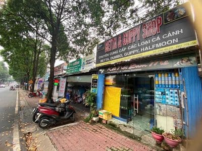 Bán nhà mặt phố tại Lê Hồng Phong, 2,8 tỷ, 51m2, pháp lý đầy đủ