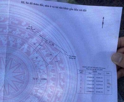 Bán đất mặt tiền xã bình khánh cần giờ