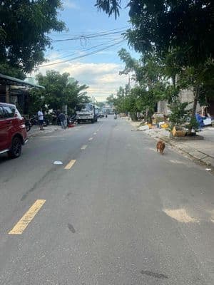 bán đất đà sơn 3