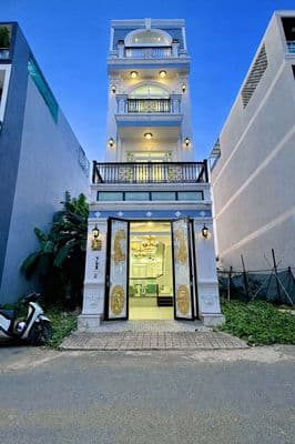 Nhà Khu Phân Lô Đồng Động Dân Trí| Đường Huỳnh Tấn Phát giáp Quận 7