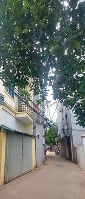 Nhà 3 tầng full nội thất, ô tô vào nhà, Quang Minh, Mê Linh, ~3 tỷ