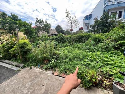 Bán đất 43.3m2 Đông Anh, lô góc, đường trải nhựa