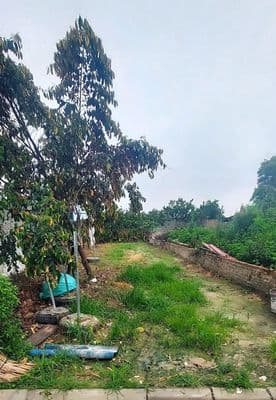 Bán đất 99m² full thổ cư trục chính Quang Minh, Mê Linh