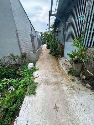 nhà cấp 4 cần bán tại xả mỷ lộc tây ninh LA củ.cách 835A.1kl đường hẻm