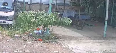 Cho mươn kho bãi