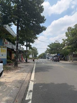 Bán đất 100m² TP Mới Bình Dương, mặt tiền D17