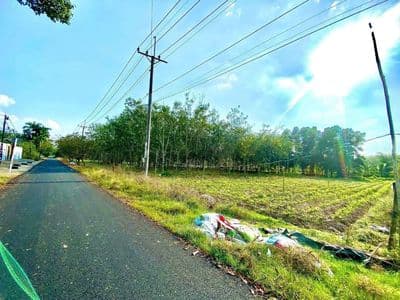 HẠ GIÁ NGỘP BÁN ĐẤT THỔ CƯ MT ĐƯỜNG NHỰA GIÁ RẺ