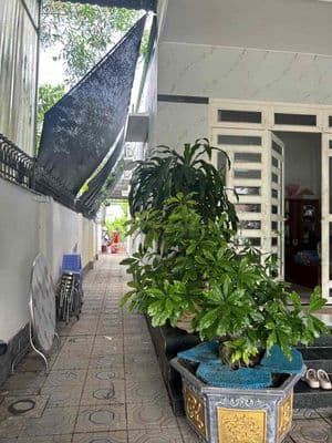 Nhà Bán gấp Tương Bình Hiệp mặt tiền Dx146 gần Chợ Bến Thế 7x59 thổ80m