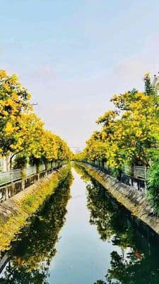 cho thêu làm cty văn phong