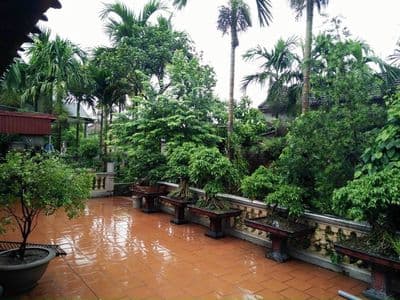 CHO THUÊ NHÀ MT HỌ LÊ - P PHÚ THẠNH 4 x 20 M Đúc 1 lầu : 2 PN, 2 WC