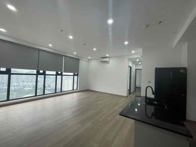 Cho Thuê Penthouse 4PN CC Park View Điện Biên Phủ - Nhà NTCB