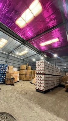 Cho thuê kho xưởng 400m² – kcn tân bình – pccc đầy đủ