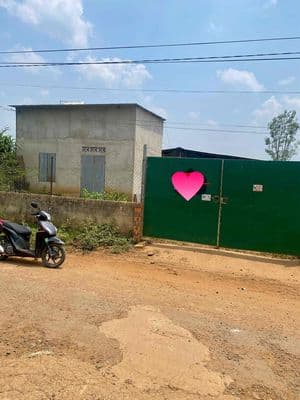 cần bán