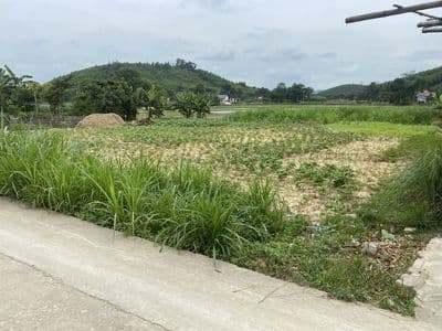 Chủ nhà bán gấp 1200,5m2 full thổ cư Triệu Sơn Thanh Hóa giảm giá sâu