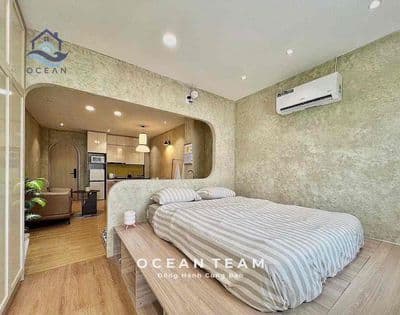 Cho thuê căn hộ 1pn full nội thất bancol – nguyễn thái bình, quận 1