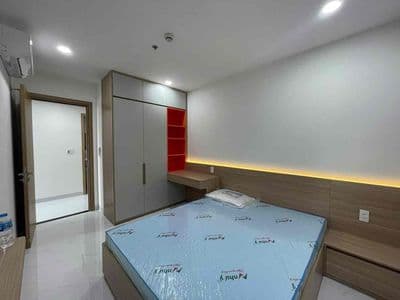 Cho thuê căn hộ phú mỹ c2 p. phú mỹ , tp mới , bình d