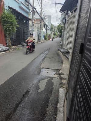Cho thuê nhà nguyên căn