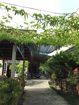 Bán nhà và đất rộng phù hợp ở hoặc xây villa
