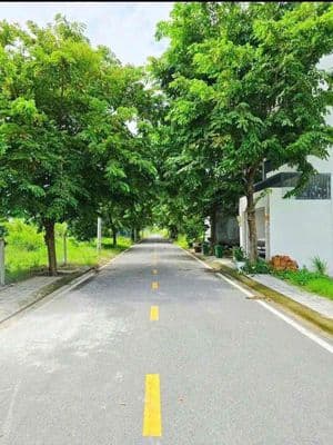 Đất Đảo Kim Cương quận 9 gần Vinhome cần tiền hạ sâu vị trí đẹp