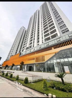 chính chủ cho thuê chung cư Aurora Residences Bến Bình Đông quận 8