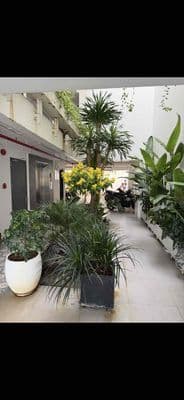 cần cho thuê căn hộ dịch vụ