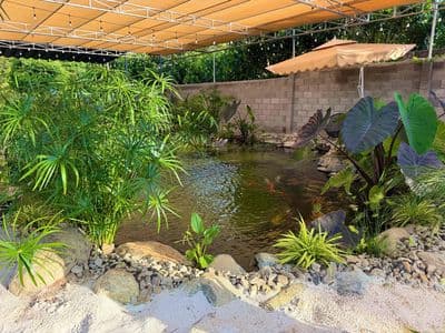 Bán Nhà Vườn Nghỉ Dưỡng Long Khánh-Đồng Nai