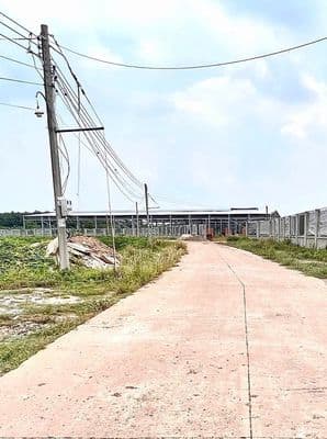 Bán gấp giá rẻ 189m2 đất thổ cư, SHR