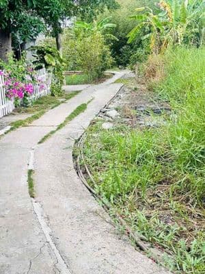 Đất thổ 5x18m chỉ 299tr Quê Mỹ Thạnh, Tân Trụ, Long An
