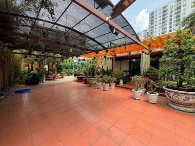 Cho thuê biệt thự tấn tru