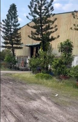 Bán 10.000m2 kho xưởng mt trần đại nghĩa, huyện bình chánh.