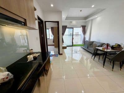 Tl cho thuê căn hộ chung cư ph võ thị sáu - tô hiệu