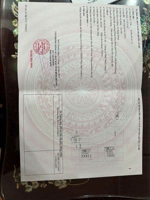 Chính chủ gửi bán Căn Hộ Phúc Đạt mặt tiền Quốc lộ 1K, sổ hồng có NT