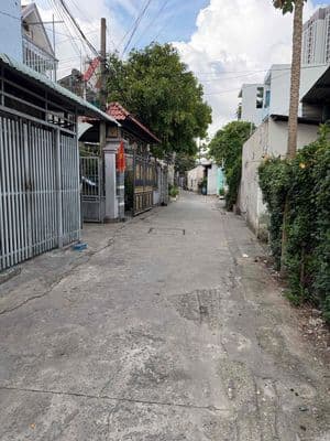 cho thuê nhà nguyên căn