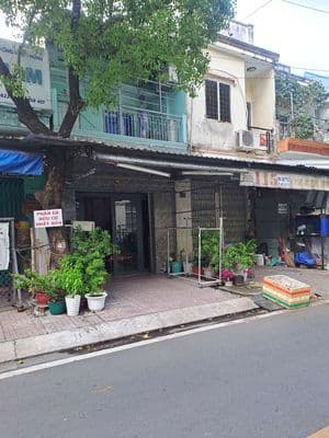 nhà cho thuê ngyên căn p4q8