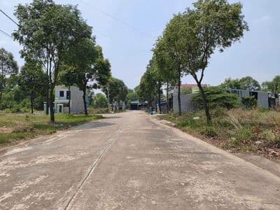 Bán đất 300m2 sổ riêng Mỹ Phước 3, Bến Cát, Bình Dương
