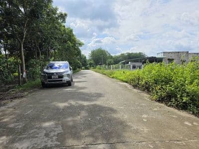 Bán đất 10x55 Phước Vĩnh, Phú Giáo, TP.HCM