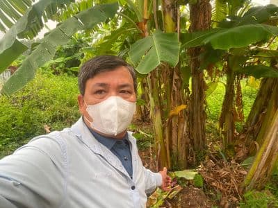 Bán đất thổ cư Đan Tảo, Sóc Sơn, Hà Nội - Giá đầu tư
