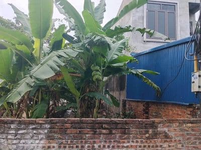Bán đất Đan Tảo, Sóc Sơn, giá cắt lỗ