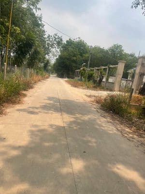Bán đất Chánh Phú Hoà - Bến Cát - Bình Dương