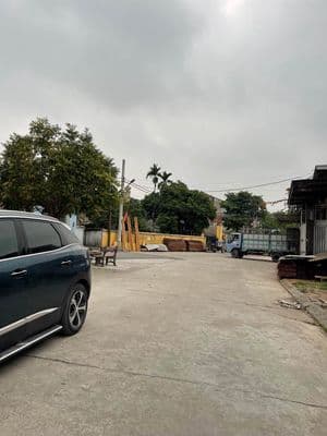 Bán đất 55m² Mai Lâm, Đông Anh, Hà Nội - Giá tốt